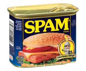 SPAM